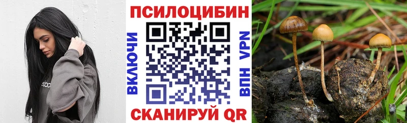 Псилоцибиновые грибы ЛСД  Купить  Реж 